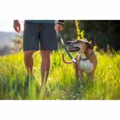 RuffWear Kaulapanta Reaction -lemmikki tallentaa vipstore p3135 5