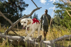 RuffWear Valjaat Web Master - Eri Kokoja -lemmikki tallentaa vipstore p3136 8