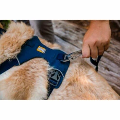 RuffWear Valjaat Front Range -lemmikki tallentaa vipstore p3137 13