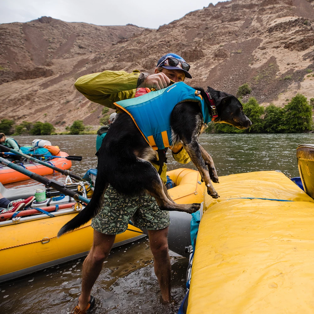 RuffWear Float Coat Koiran Pelastusliivi 5 RuffWear Float Coat Koiran Pelastusliivi - Image 5